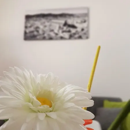 Apartament Fico Fiera